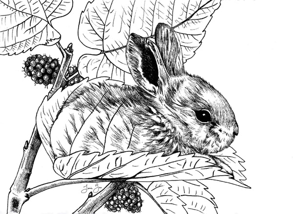 AAPI Zodiac: Wooden Rabbit, Archival Print