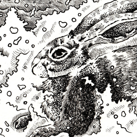 AAPI Zodiac: Water Rabbit, Archival Print