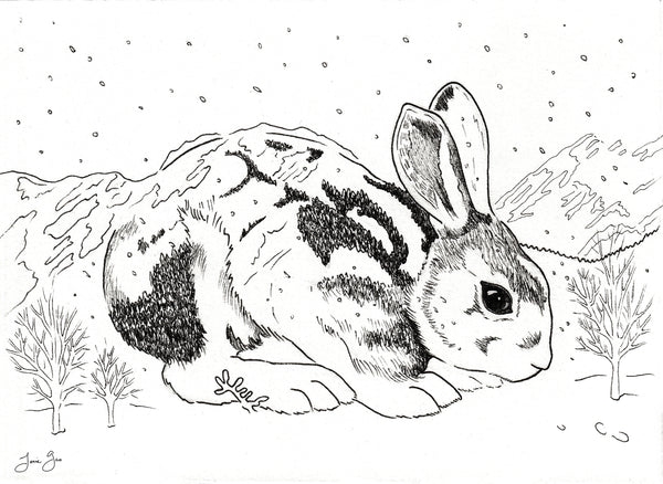 Asian Diasporic Zodiac: Earth Rabbit Archival Print