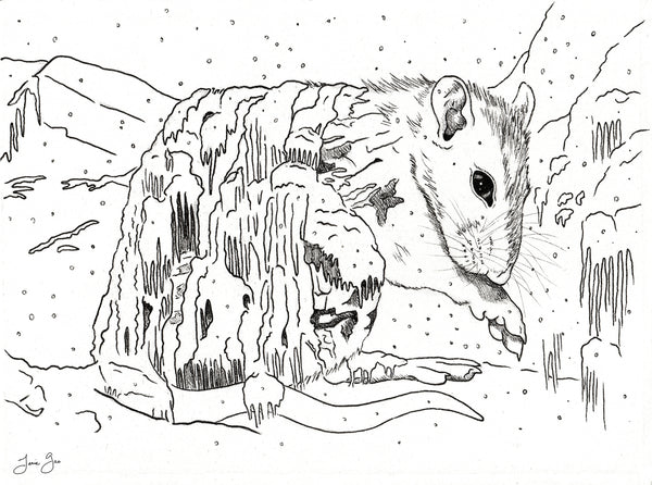 Asian Diasporic Zodiac: Water Rat Archival Print