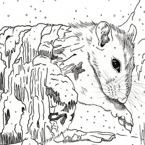 Asian Diasporic Zodiac: Water Rat Archival Print
