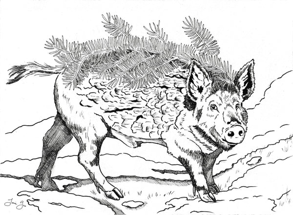Asian Diasporic Zodiac: Wood Boar