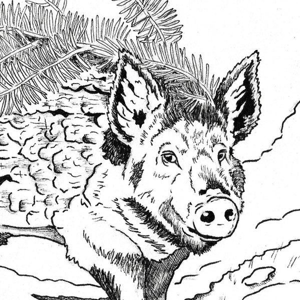 Asian Diasporic Zodiac: Wood Boar