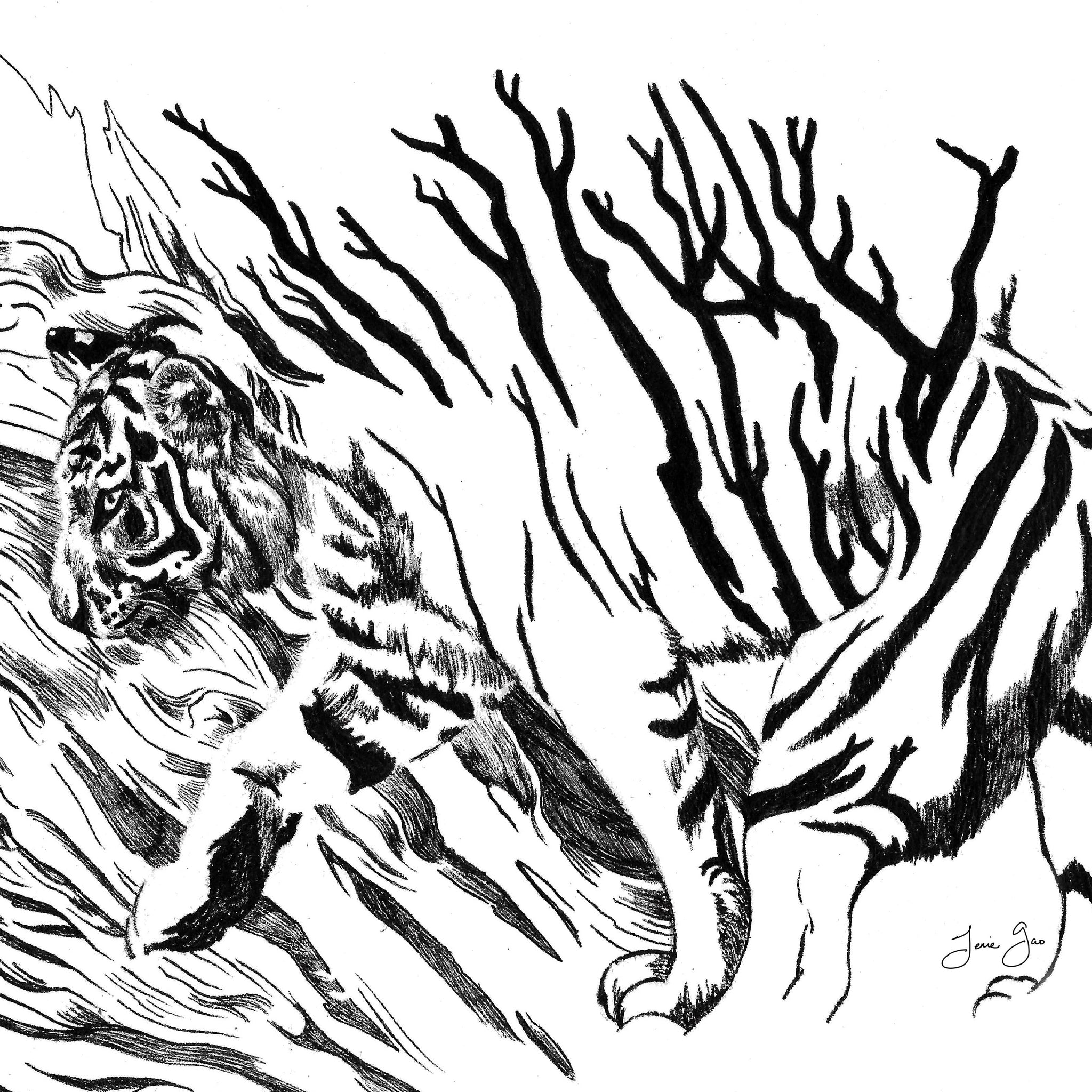AAPI Zodiac: Wooden Tiger, Archival Print