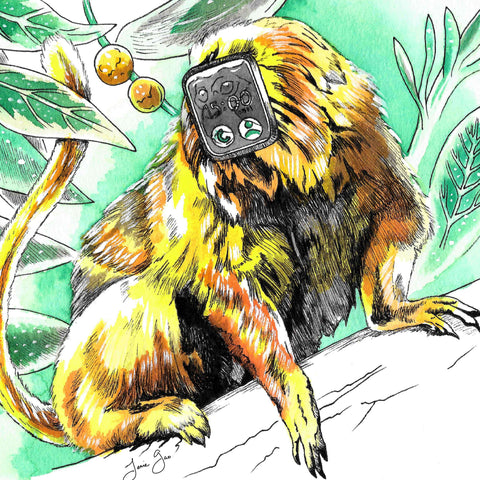 AAPI Zodiac: Golden Metal Monkey, Limited Edition Print