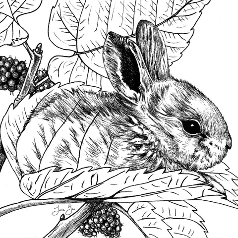 AAPI Zodiac: Wooden Rabbit, Archival Print