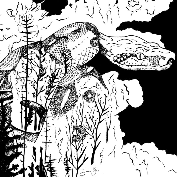 AAPI Zodiac: Fire Snake, Archival Print